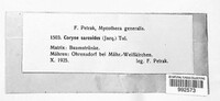 Ascocoryne sarcoides image